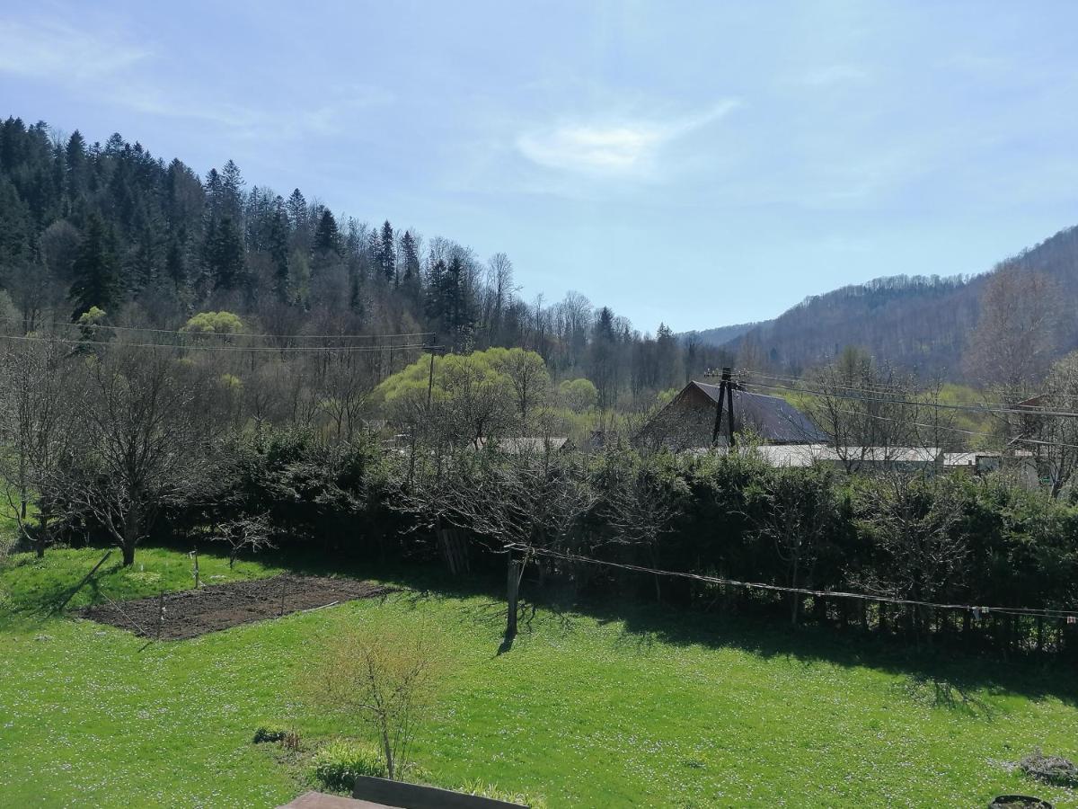 Agroturystyka Pod Kasztanem Лютовиска Экстерьер фото